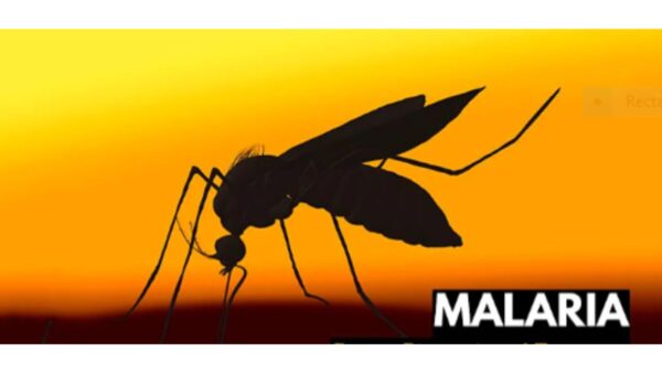 Malaria: The Imperceptible opponent
